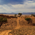 Elferspot Experience Namibia