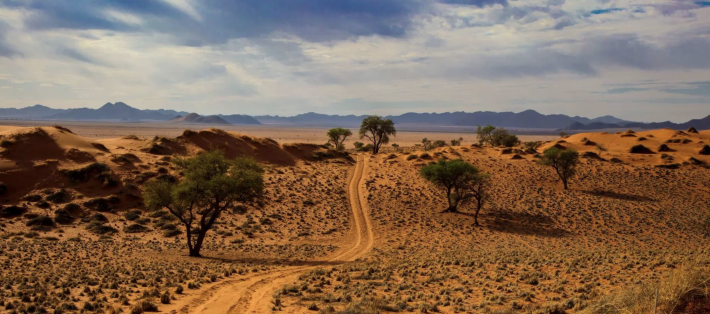 Elferspot Experience Namibia