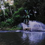 La Carrera Costa Rica 2024