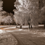 Arctic Ice Karting in Rovaniemi, Lapland