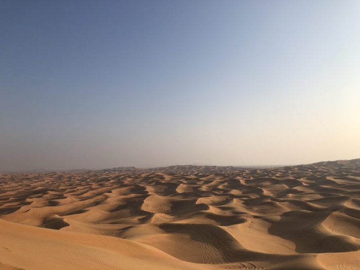 Unique MORNING Buggy Red Dunes Safari