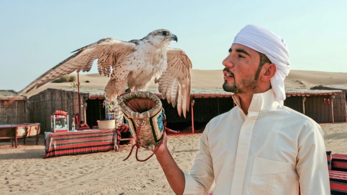 Dubai Desert Journey: Red Dunes Safari with BBQ in Bedouin Camp
